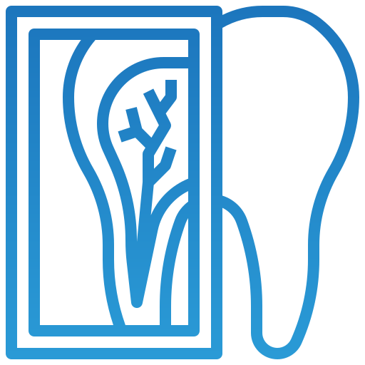 Single tooth X-Rays, full mouth X-rays, 3D CBCT scan